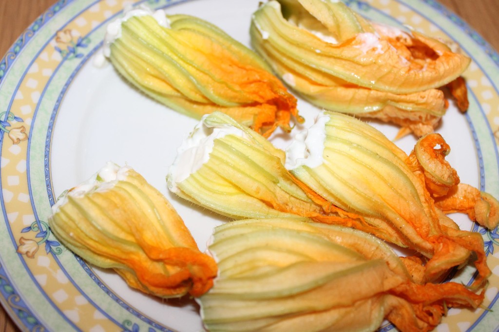 fiori di zucchina ripieni pastellati (6)