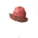 Cappelli Reinhard Plank 2015