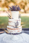 Naked cake 2016 torte matrimonio 2016 tendenze