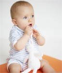 petit bateau 2016 catalogo